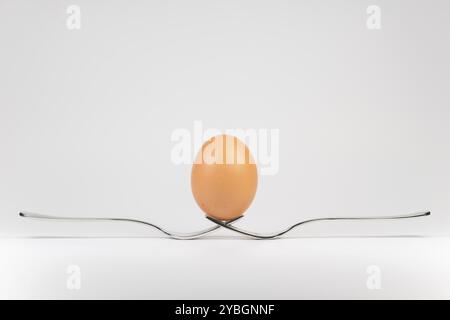 Balancing egg on two cooperating metal forks Stock Photo
