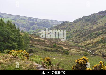 Landscape between Agneash and Snaefell Mine, Garff, Isle of Man, Europe Stock Photo