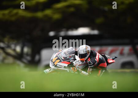 MELBOURNE, AUSTRALIA. 19th Oct 2024. Pictured: Aron Canet, #44 of Spain, riding for Fantic Racing during Moto2 Practice 2 at the Qatar Airways Australian Motorcycle Grand Prix 2024 held at the Phillip Island Circuit. Credit: Karl Phillipson/Alamy Live News Stock Photo