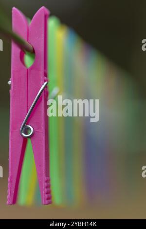 Colored clothes pegs in a row on a drying rack with little depth Stock Photo