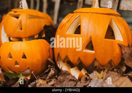 A carved pumpkins sits among colorful autumn leaves during the fall season. Holidays, Halloween decoration concept. Stock Photo