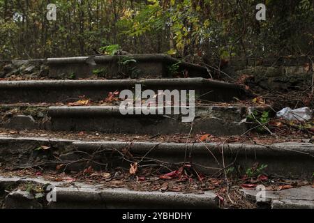 Dilapidated stairs in the forest, creating a mysterious atmosphere and reminding of the past. Stock Photo