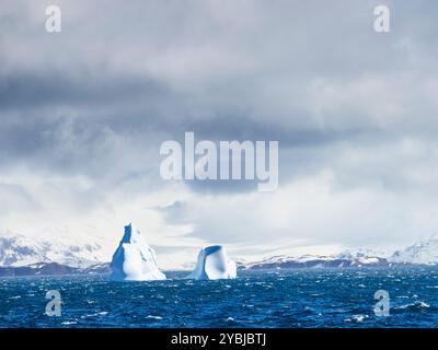 Pinnacle Icebergs floating in the Scotia Sea off Stromness Bay, South Georgia Stock Photo