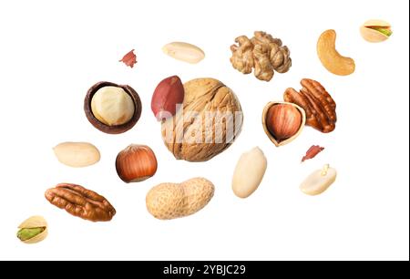 Macadamia and other nuts in air on white background Stock Photo