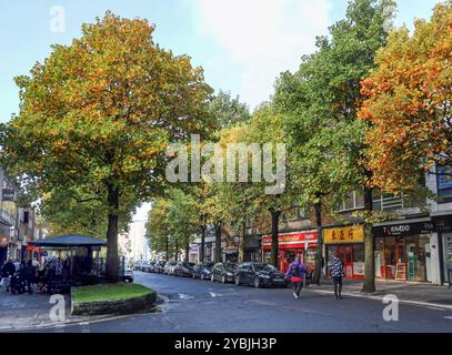 Cornwall Street in Plymouth’s West End with trees starting to turn to gold. On street parking and specialists shops. Stock Photo