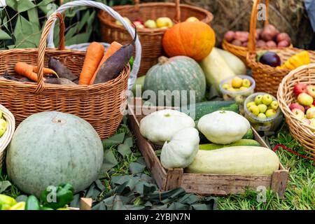 Autumn harvest concept. Seasonal fruits and vegetables in wooden boxes and baskets on the green grass. Ripe fresh vegetables and fruits. Stock Photo