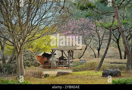 Naganeupseong village, located in Nagan-myeon, Suncheon, Jeollanam-do Province, South Korea. Stock Photo