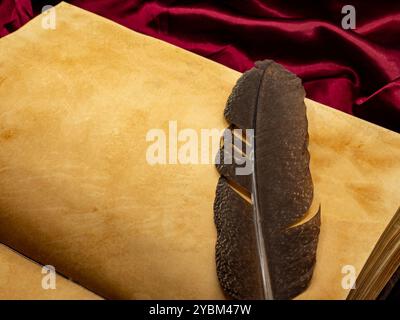 an old medieval book with a blank page open on a table and a writing pen on top of it Stock Photo