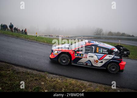 Hauzenberg, Germany. 19th Oct, 2024. Tanak Ott, Jarveoja Martin of Estonia with car Hyundai i20 N Rally1 compete in the Central European Rally World Rally Championship event in Munzkirchen, Austria, October 19, 2024. Credit: Petr Skrivanek/CTK Photo/Alamy Live News Stock Photo