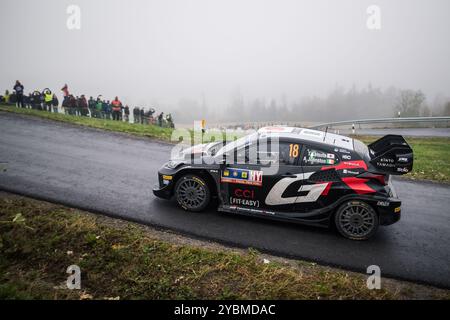 Hauzenberg, Germany. 19th Oct, 2024. Japanese rally driver Katsuta Takamoto, Johnston Aaron with car Toyota GR Yaris Rally1 compete in the Central European Rally World Rally Championship event in Munzkirchen, Austria, October 19, 2024. Credit: Petr Skrivanek/CTK Photo/Alamy Live News Stock Photo