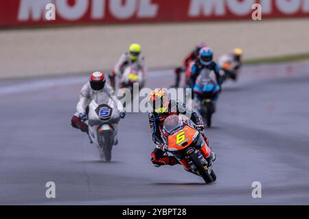 Melbourne, Australia. 19th Oct 2024. Moto3 riders during practice at the Australian MotoGP 2024 at the Phillip Island Grand Prix Circuit. Credit: Santanu Banik/Alamy Live News Stock Photo