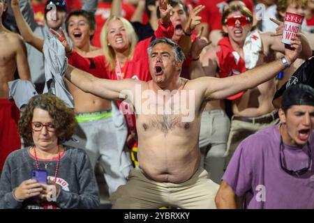 College Park, MD, USA. 19th Oct, 2024. Maryland Terrapins fans celebrate during the NCAA football game between the Maryland Terrapins and the USC Trojans at SECU Stadium in College Park, MD. Reggie Hildred/CSM/Alamy Live News Stock Photo