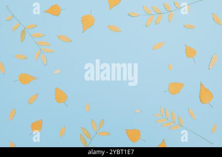 Autumnal fall leaves on blue background. Flat lay, top view. Minimalistic. Stock Photo