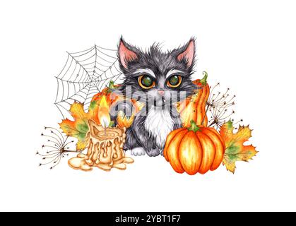 Black kitten sitting with pumpkins, maple leaves, flowers, tree and ...