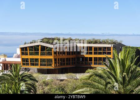 Icod de los Vinos, Spain, August 12, 2021: Drago Park around Drago Milenario. The monumental tree is one of the symbols of Tenerife and was declared a Stock Photo