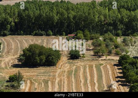 Aerial view of agricultural fields during summer. Burgos, Castilla Leon Stock Photo