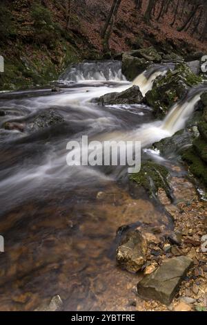 Waterfall in the river Hoegne near the small village Hockai in the Belgian region Ardennes Stock Photo