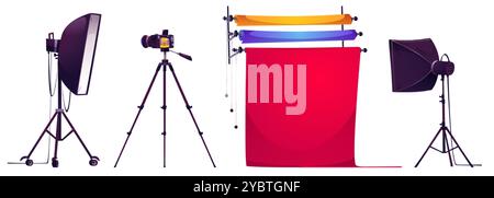 Professional studio photoshoot equipment - paper colorful backgrounds, lighting lamp with softbox on tripod stand, photo camera. Cartoon vector illust Stock Vector
