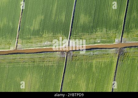 Aerial photographic documentation of the giometric shapes of the cultivated fields Stock Photo