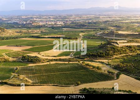 Aerial view of vineyards in La Rioja Region in Spain Stock Photo