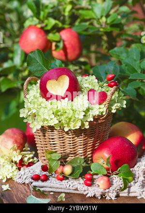 Still life of a rustic wicker basket with  a red apple with heart, white hydrangea flowers and rose hip branches init. Harvesting or Thanksgiving Day Stock Photo