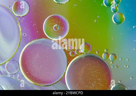 Extreme close up of oil bubbles on water surface with multicolored gradient background. Suitable for design and wallpaper Stock Photo