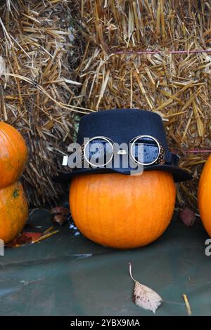 Dressed up pumpkin Stock Photo
