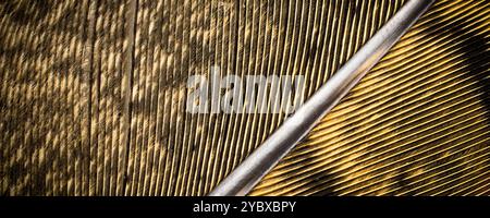 brown pheasant feathers with dark stripes. background Stock Photo