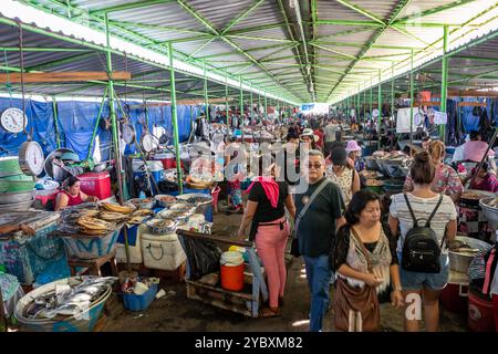 El Salvador, La Libertad, Fish market on the pier (muelle) Stock Photo