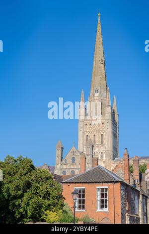 Norwich Cathedral spire towering over nearby houses on a blue sky day in a portrait orientation Stock Photo