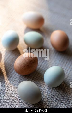 Colorful fresh chicken eggs in various shades of earth tones. Brown, green, blue, tan, white. Shallow depth of field with strong shadows. Moody light. Stock Photo