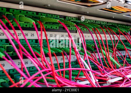 Lot of red optic fiber cables connected to rack router Stock Photo