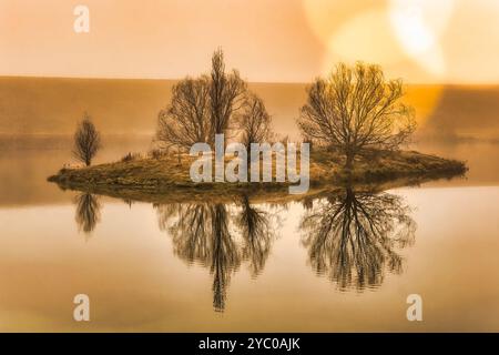 Tree silhouette reflected in the small Loch Cameron  in early morning mist and fog Stock Photo