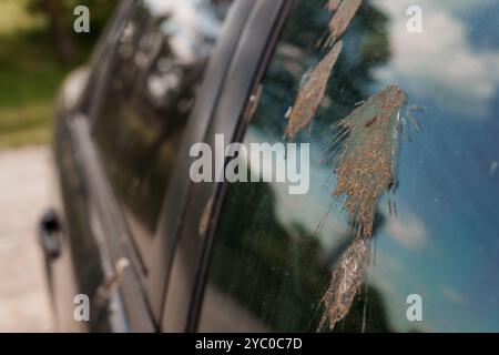 Close-Up of a Car Window Surface Marked by Dirt and Insect Residues. Stock Photo