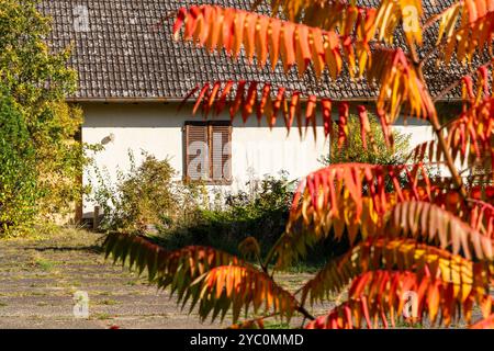 Lanke Germany 2024: The Waldhof on Bogensee is the former country residence of Nazi propaganda minister Joseph Goebbels. Stock Photo