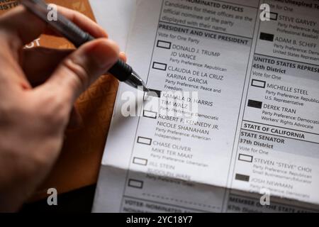 Fullerton, California, USA - October 20, 2024: Filling out a vote by mail ballot in favor of Kamala Harris and Tim Walz for president. Stock Photo