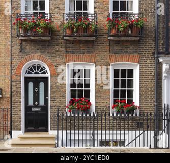 Old brick townhouse in London with geraniums in window boxes Stock Photo