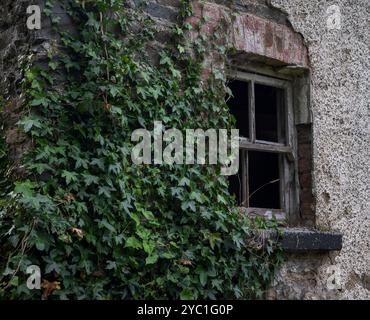 The wall of an abandoned, industrial building shows crumbling stone and brick, flanked by climbing ivy, evoking a sense of decay and neglect. Photo ta Stock Photo