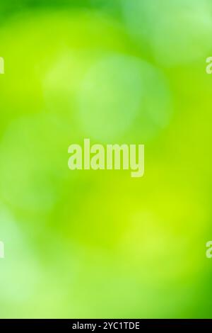 Green color bokeh, Green bacground, Blurred nature bokeh ure for the background Stock Photo