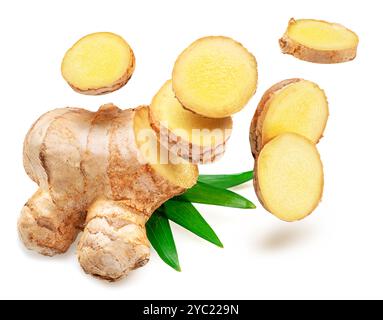 Fresh ginger root and ginger slices with leaves isolated on white background. Stock Photo