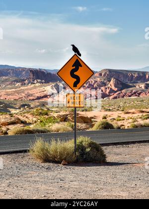 Black crow on a yellow 'Next 4 Miles Winding Road' Sign in Valley of Fire State Park, Nevada, USA. Stock Photo