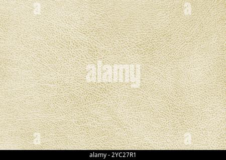 Structure of genuine leather surface with slightly grainy texture macro, close up. Smooth shiny beige leatherette, upholstery material, luxury backgro Stock Photo