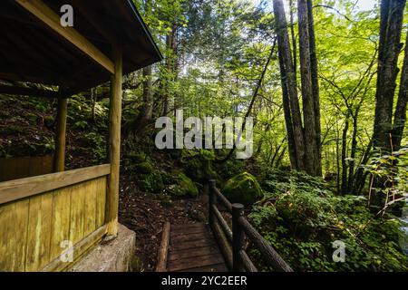 Tateshina Otaki Falls in Japan Stock Photo