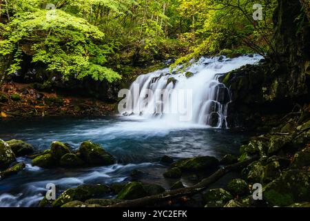 Tateshina Otaki Falls in Japan Stock Photo