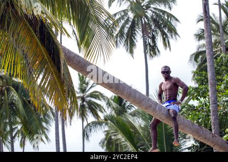 Man sitting on a leaning palm tree on tropical beach Stock Photo
