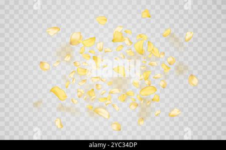 Transparent panoramic horizontal background.Amber flower spring template. Stock Vector