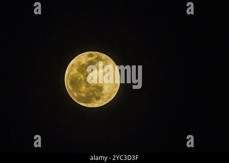 The Hunter's supermoon on 17 October 2024 is the brightest and nearest-to-earth of the four supermoons in 2024. This is photographed in Singapore. Stock Photo