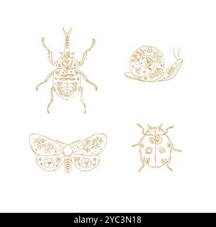 Beetles elements rhinoceros beetle, snail, moth, ladybug drawing in floral style with beige on light background Stock Vector