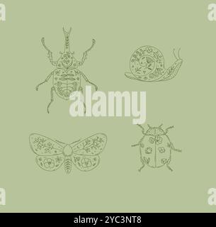 Beetles elements rhinoceros beetle, snail, moth, ladybug drawing in floral style on green background Stock Vector