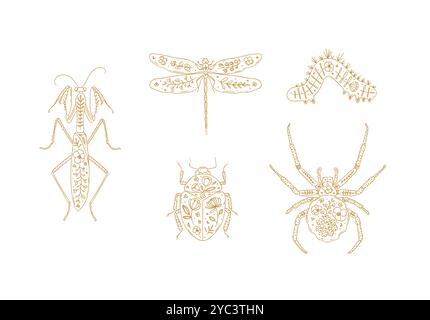 Beetles elements mantis, dragonfly, spider, caterpillar, insect drawing in floral style with beige on light background Stock Vector